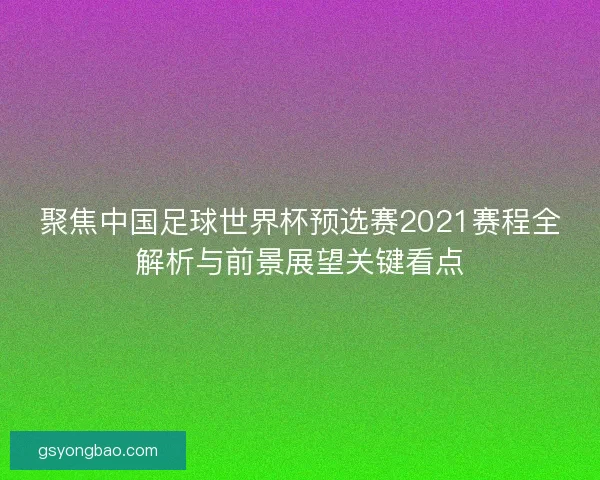 聚焦中国足球世界杯预选赛2021赛程全解析与前景展望关键看点
