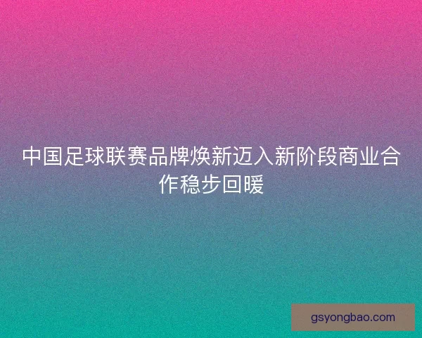 中国足球联赛品牌焕新迈入新阶段商业合作稳步回暖