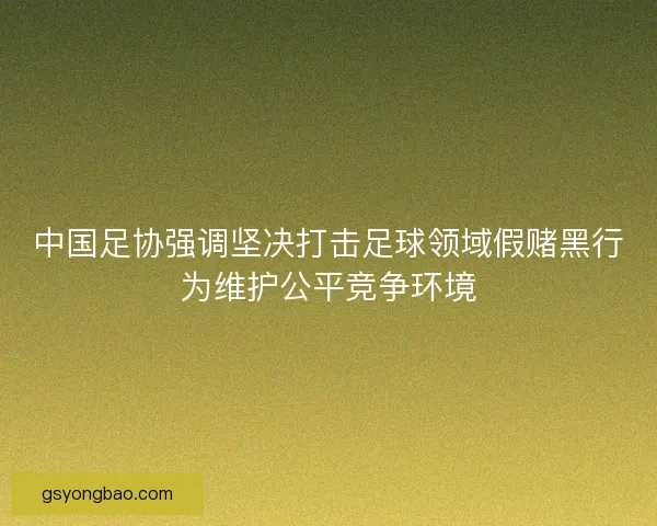 中国足协强调坚决打击足球领域假赌黑行为维护公平竞争环境